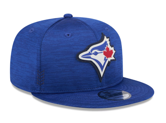 Toronto Blue Jays